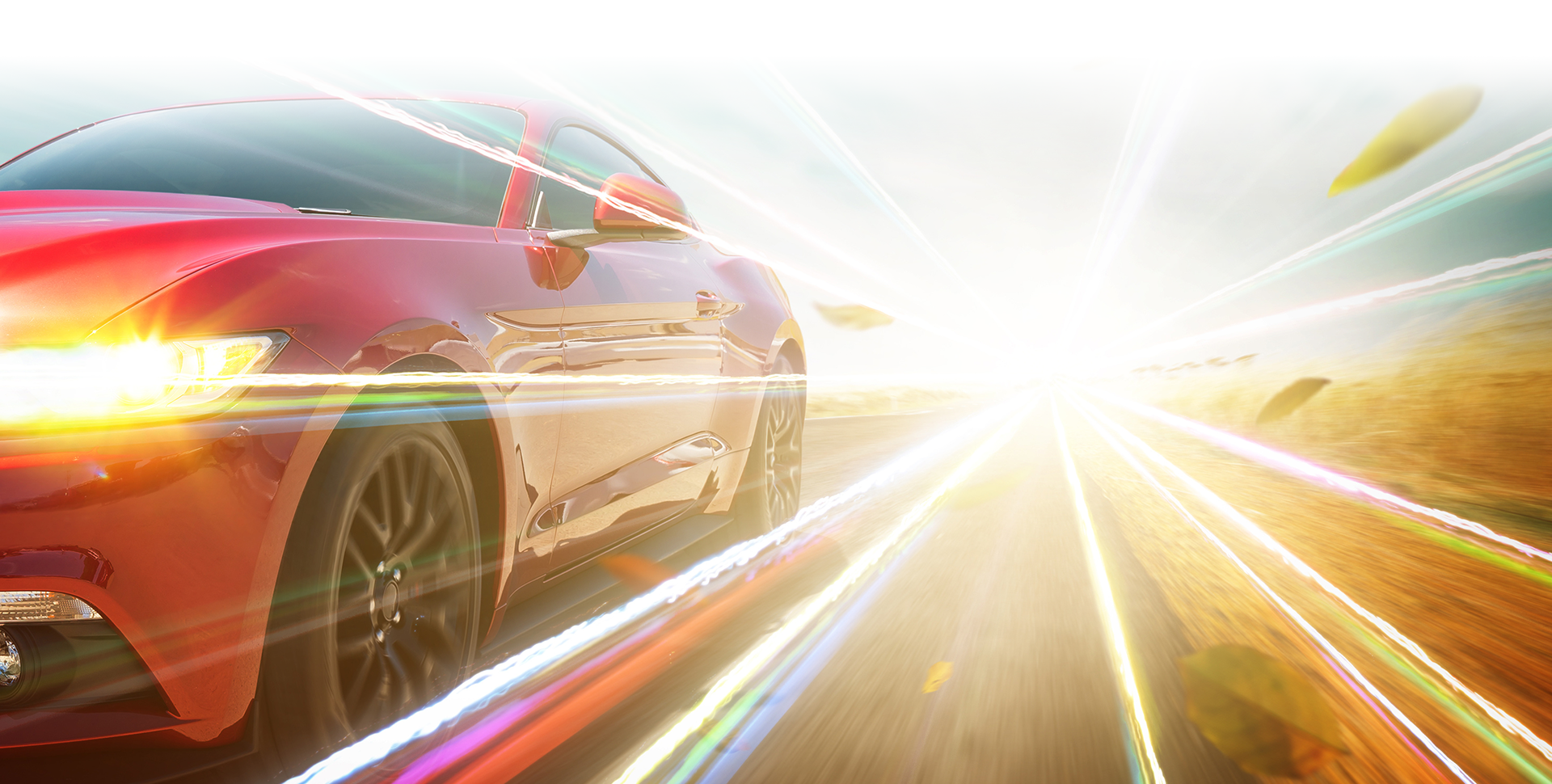 Service from
The　Expert